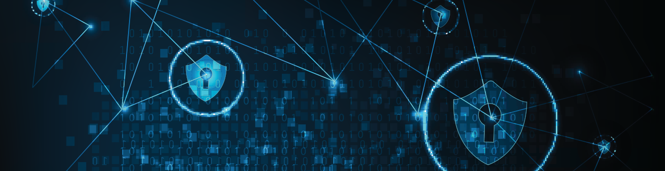 Vulnerability Scanning And Assessment Cyberguard Compliance