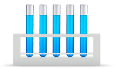 Step 3: Testing & Discovering Vulnerabilities