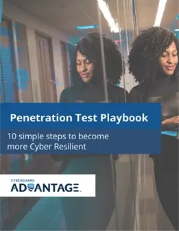 Penetration Test Playbook